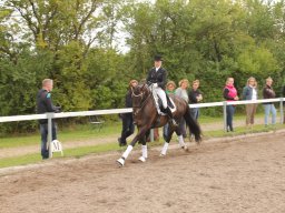 img_9663_web